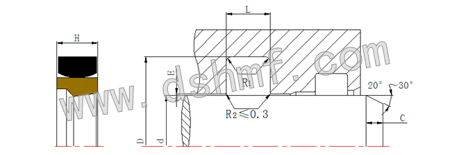 DMSS-軸用重載斯特封的密封件規(guī)格型號(hào)型號(hào)規(guī)格 DMSS-軸用重載斯特封的密封件規(guī)格型號(hào)型號(hào)規(guī)格