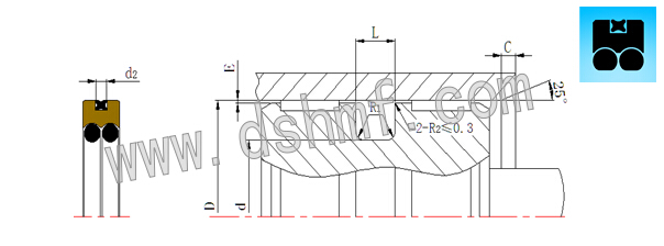 星型雙O組合DQF的型號(hào)規(guī)格表_型號(hào)規(guī)格 星型雙O組合DQF的型號(hào)規(guī)格表_型號(hào)規(guī)格