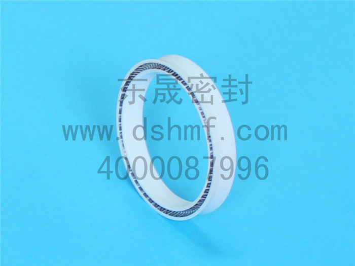 泛塞封密封件產(chǎn)品 泛塞封密封件產(chǎn)品