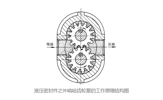 液壓密封件之外嚙哈齒輪泵的工作原理結(jié)構(gòu)圖
