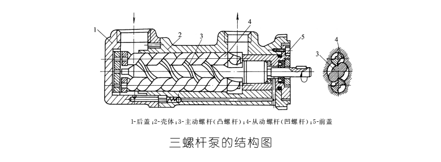 液壓密封件之三螺桿泵的結(jié)構(gòu)圖