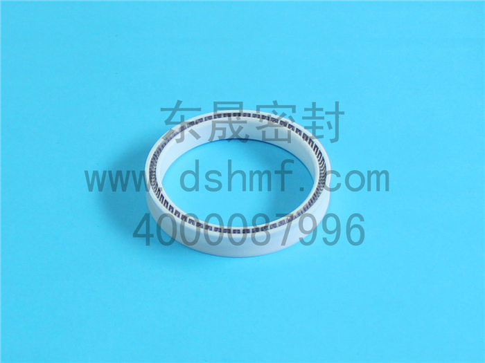 泛塞封，密封圈，密封件，產(chǎn)品