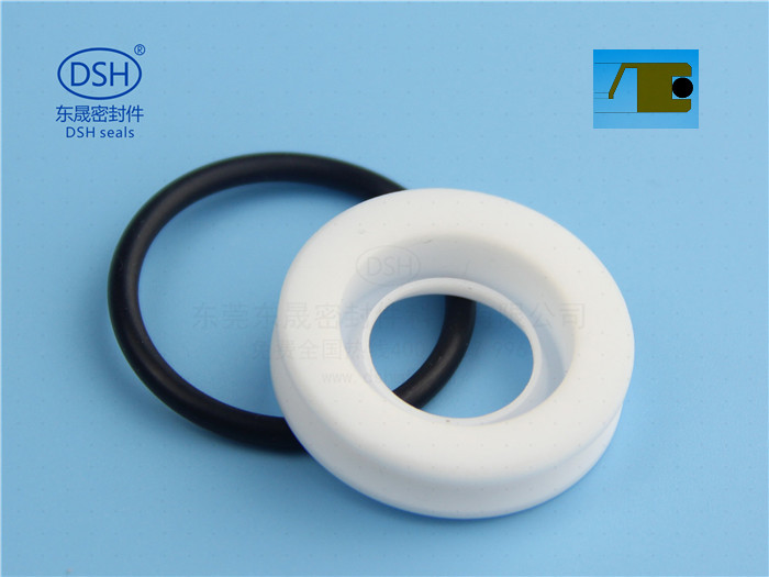 PTFE油封B型 - 聚四氟乙烯（PTFE）