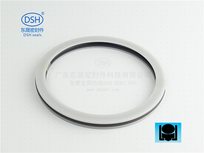 孔用旋轉(zhuǎn)組合密封件DRDA