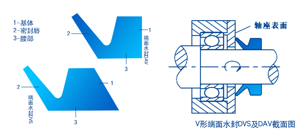 V形截面水封結(jié)構(gòu)圖