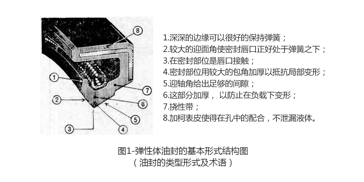 彈性體油封的基本形式結(jié)構(gòu)圖