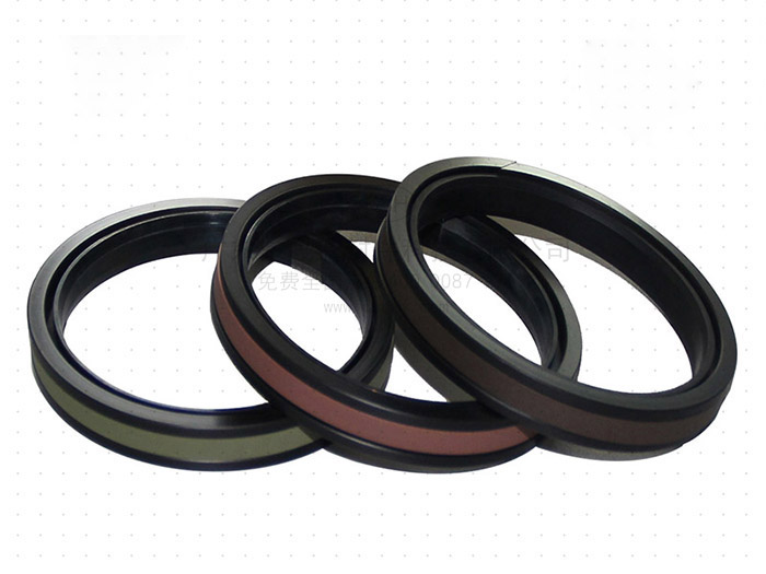 孔用組合密封件SPGW（帶支撐環(huán)）