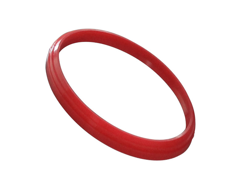 馬鞍型防塵密封圈DAM