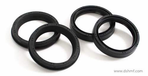 旋轉(zhuǎn)密封圈,汽車油封