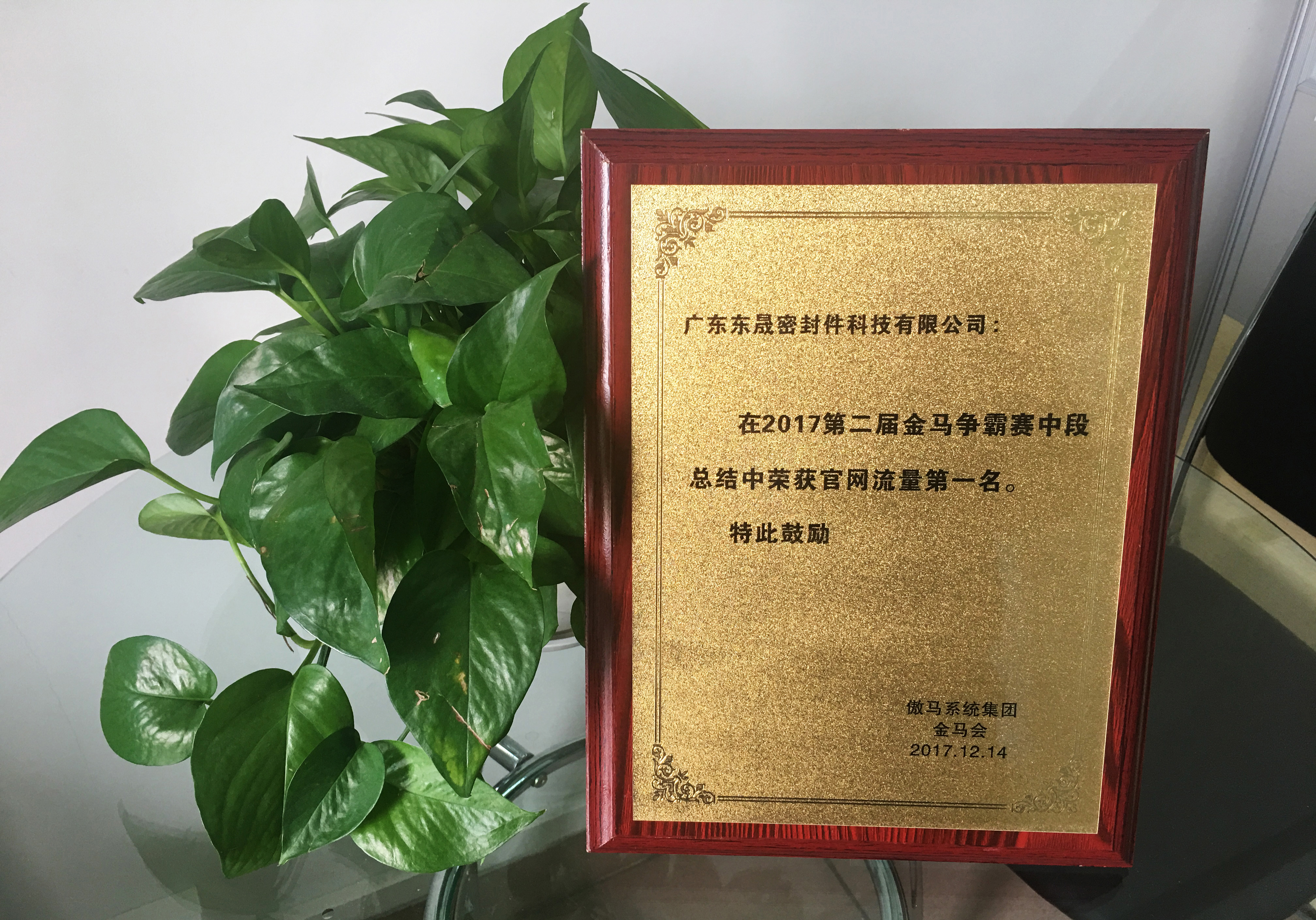 免費官網(wǎng)流量的一名獎項及獎獎牌