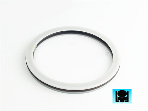 密封件,旋轉(zhuǎn)密封件