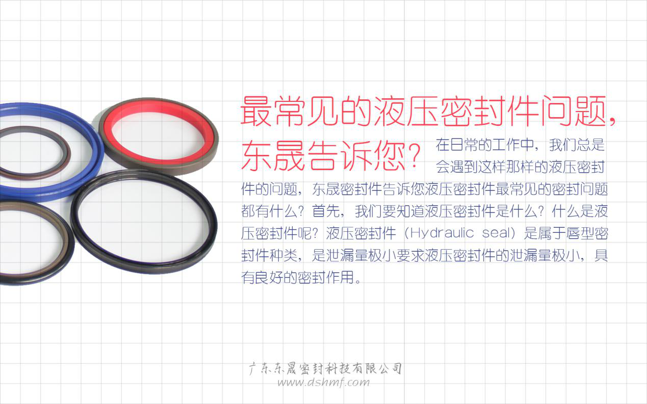 （二）液壓密封件的常見問題解答？