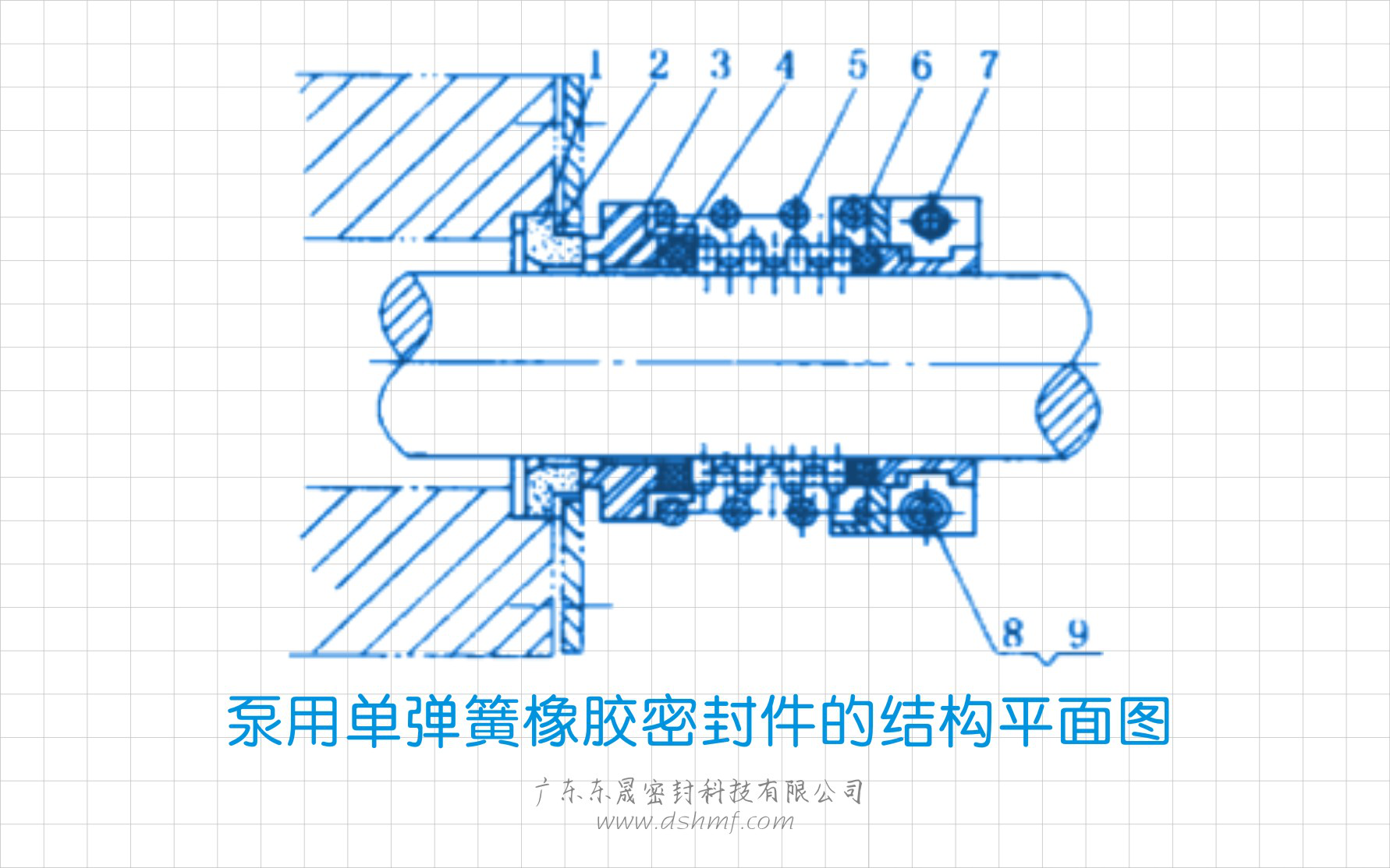 泵用單彈簧橡膠密封件的結構平面圖