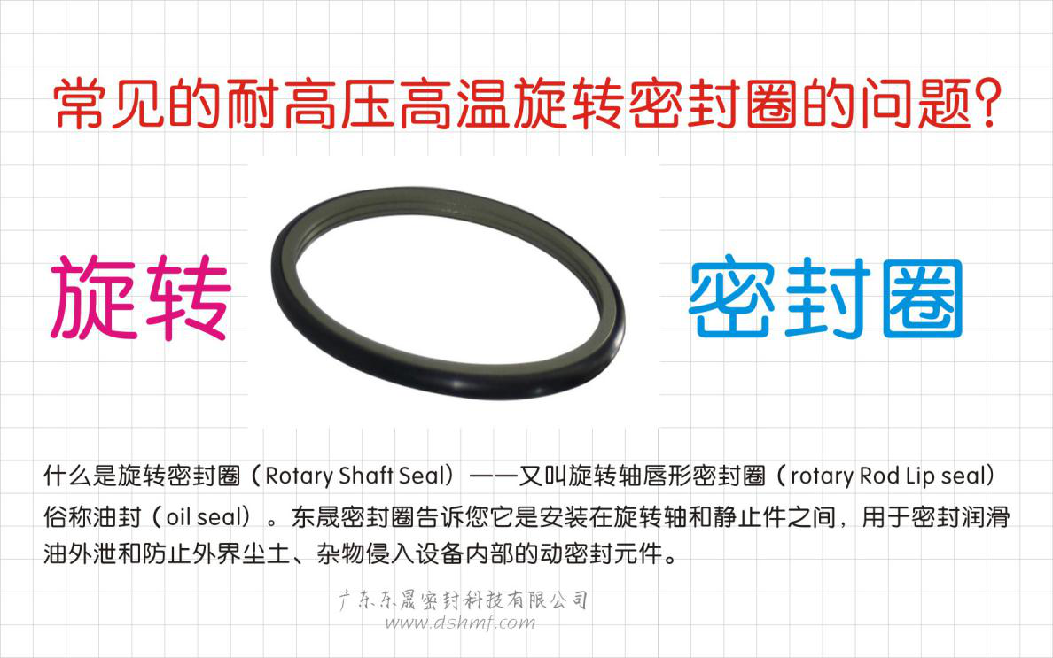 常見的耐高壓高溫旋轉(zhuǎn)密封圈的問題？之四