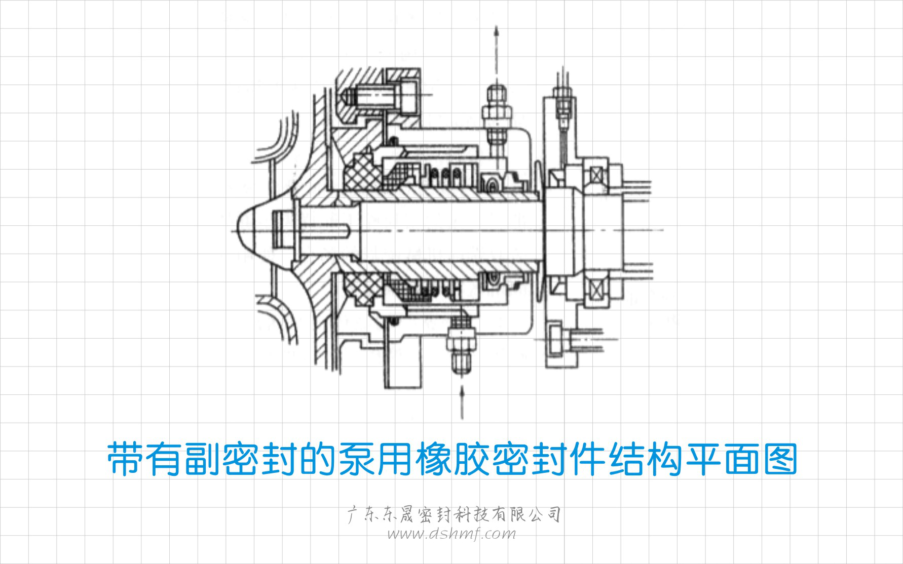 帶有副密封的泵用橡膠密封圈結(jié)構(gòu)平面圖