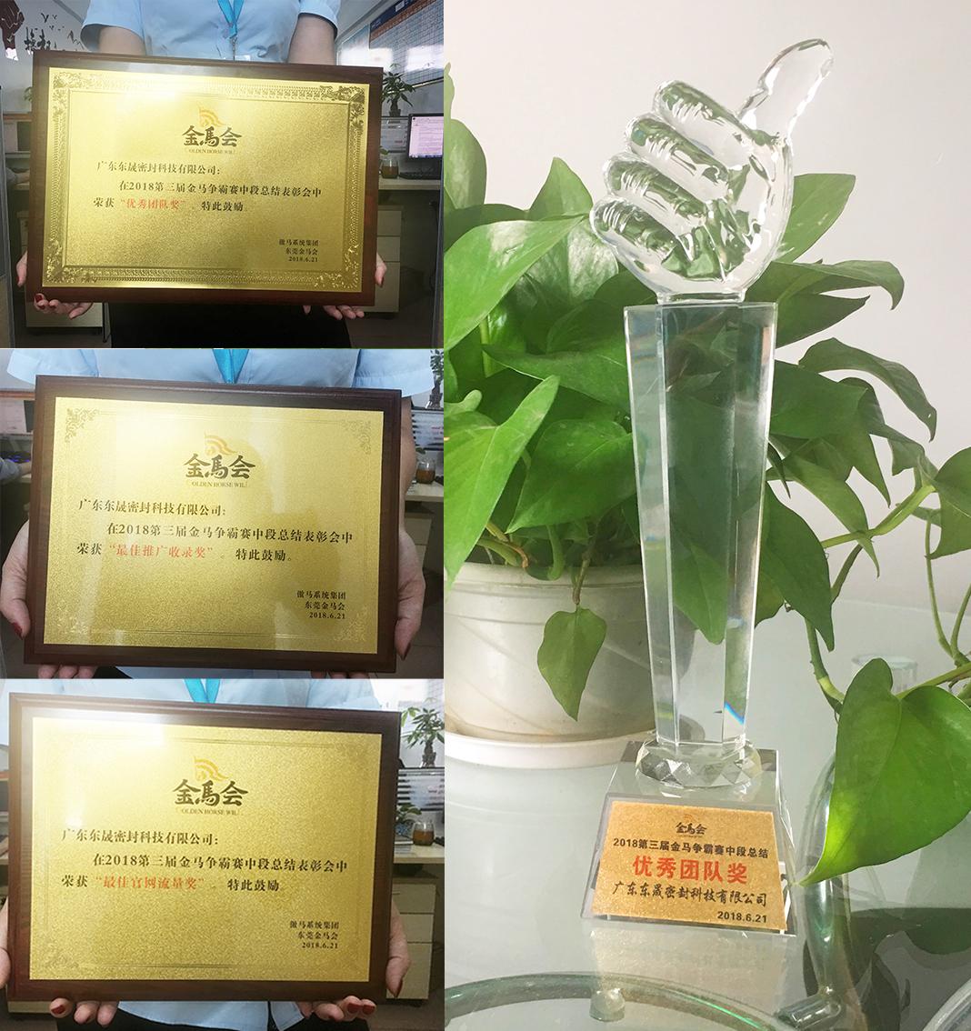 東晟密封件公司獲得了三個獎項：“優(yōu)秀團(tuán)隊獎”、“最佳官網(wǎng)流量獎”、“最佳推廣收錄獎”