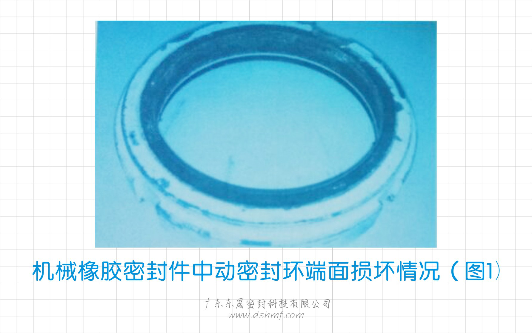 機(jī)械橡膠密封環(huán)中動密封環(huán)端面損壞情況（圖1）
