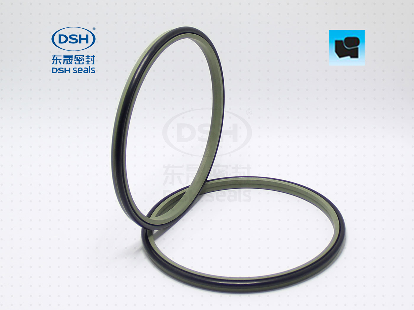 組合防塵圈DSZ - 防塵圈系列,聚四氟乙烯密封件,應(yīng)用于油缸/氣缸行業(yè)專用密封件圈。