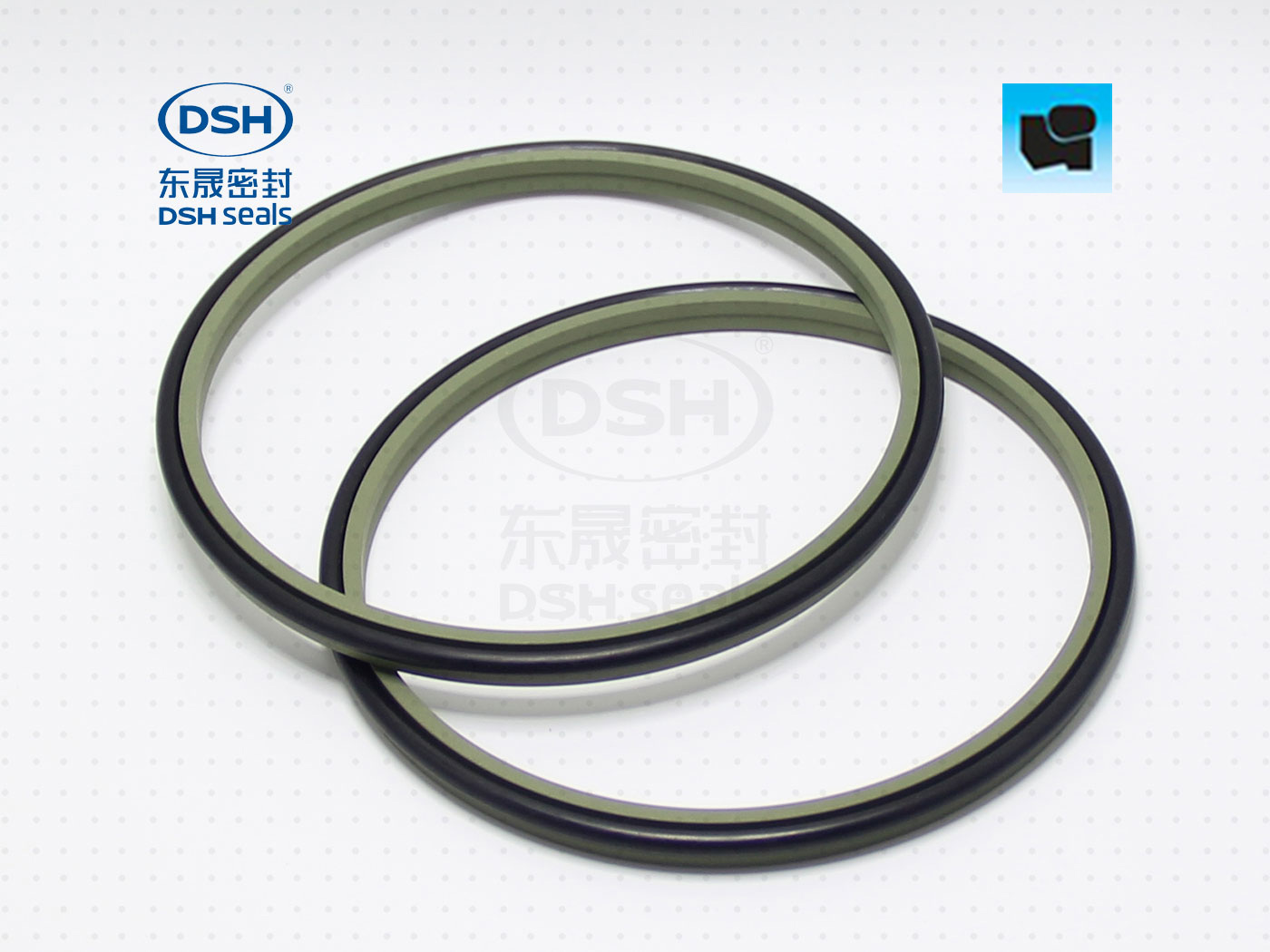 組合防塵圈DSZ - 防塵圈系列,聚四氟乙烯密封件,應(yīng)用于油缸/氣缸行業(yè)專用密封件圈。