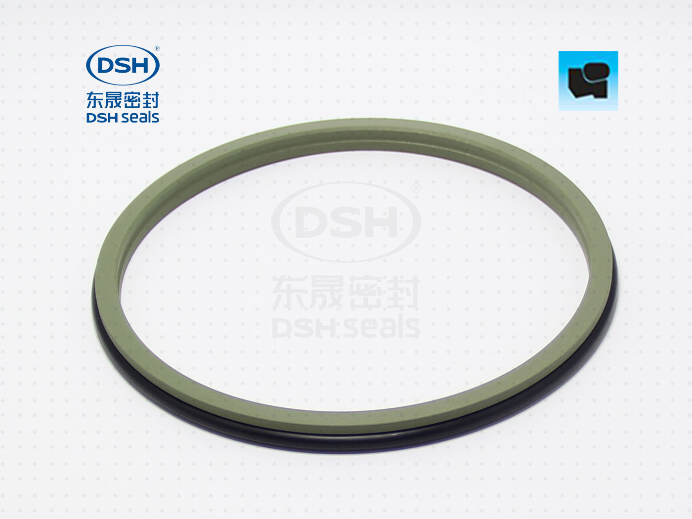 組合防塵圈DSZ - 防塵圈系列,聚四氟乙烯密封件,應(yīng)用于油缸/氣缸行業(yè)專用密封件圈。