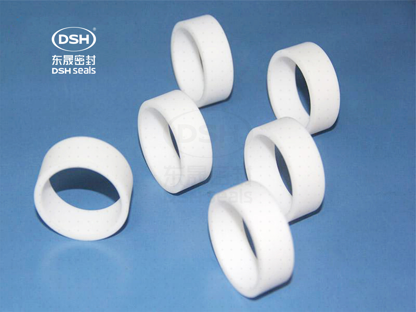 食品機(jī)械液壓導(dǎo)向環(huán)DST