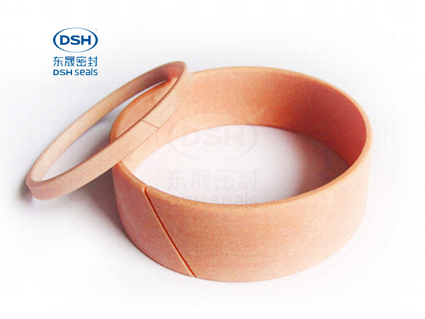 導(dǎo)向環(huán)DST3-2000 (2)