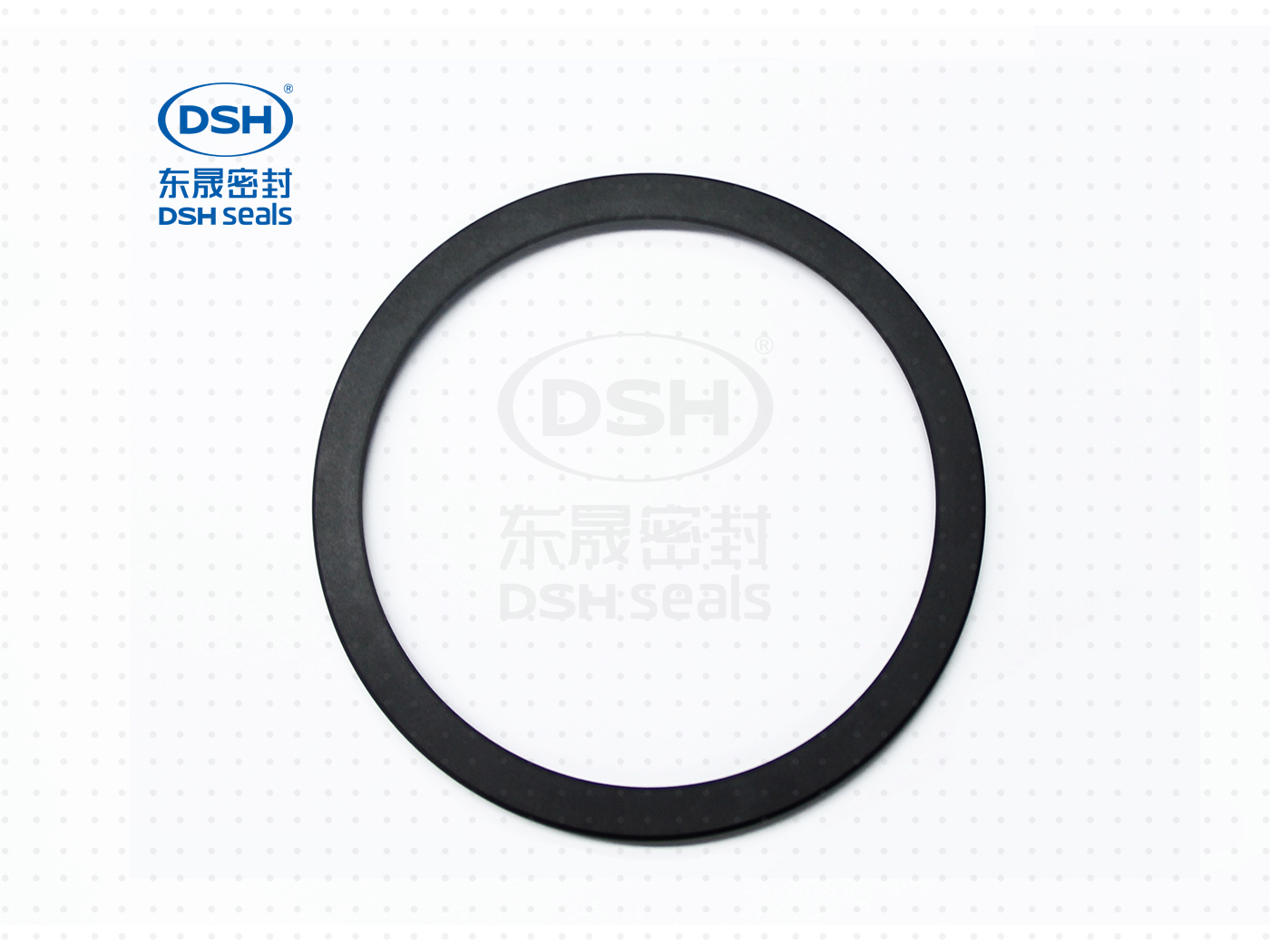 泛塞密封圈  泛塞密封圈（泛塞封密封圈） - 密封圈，泛塞封應用！怕漏洞，裝東晟油封！