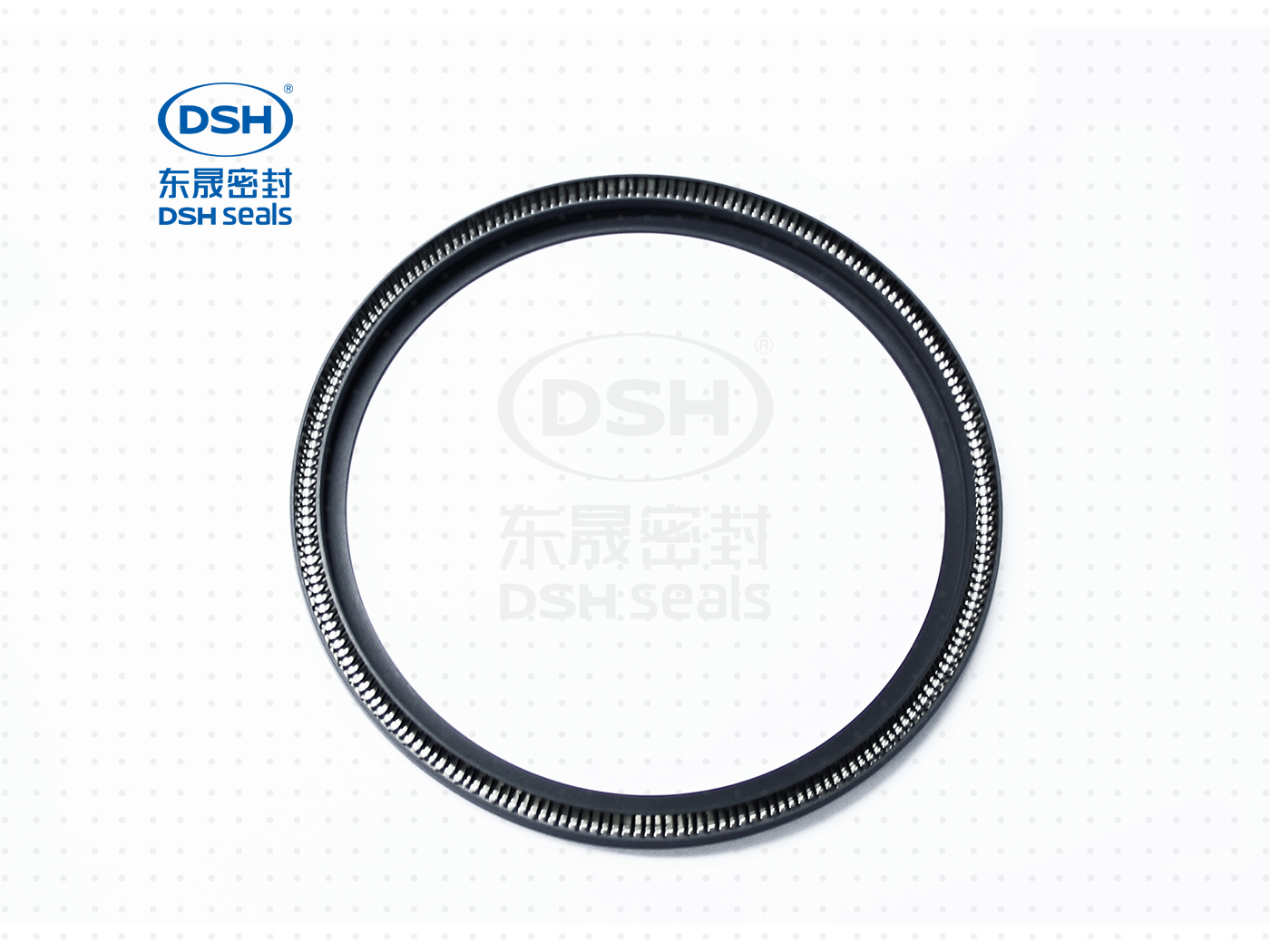 泛塞密封圈  泛塞密封圈（泛塞封密封圈） - 密封圈，泛塞封應用！怕漏洞，裝東晟油封！