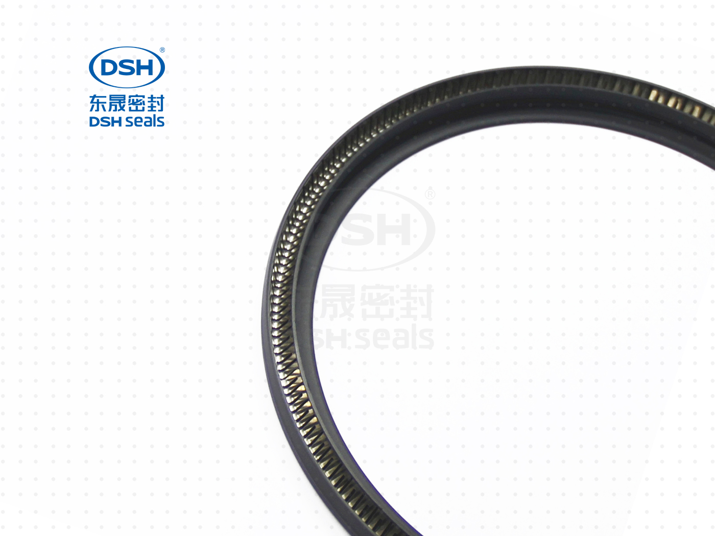 泛塞密封圈  泛塞密封圈（泛塞封密封圈） - 密封圈，泛塞封應用！怕漏洞，裝東晟油封！