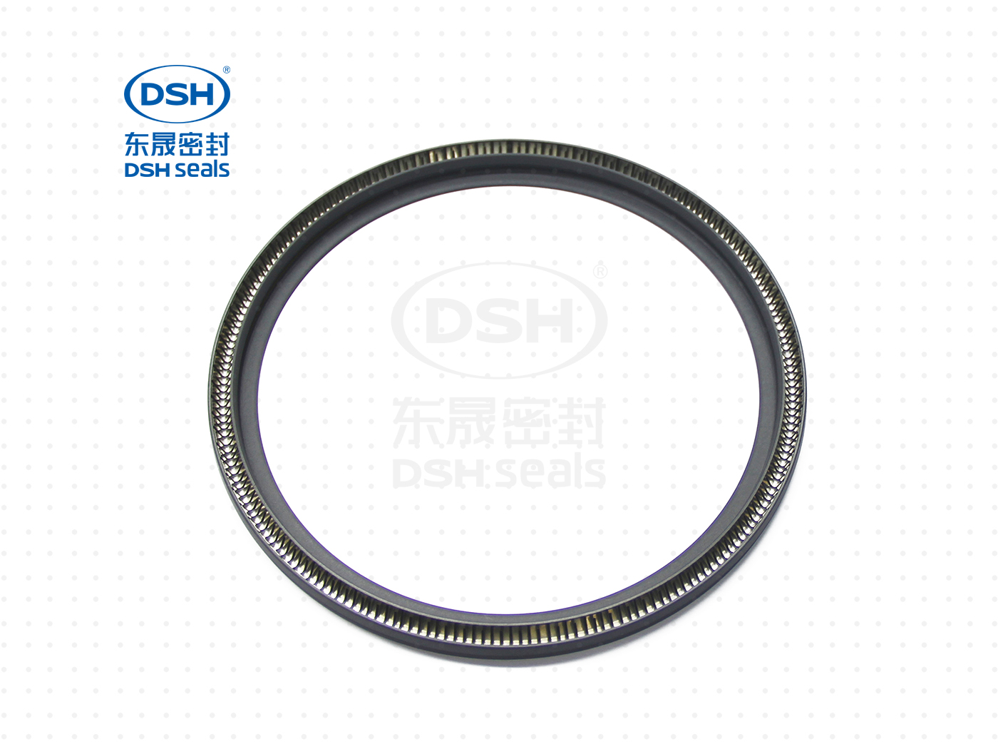 泛塞密封圈  泛塞密封圈（泛塞封密封圈） - 密封圈，泛塞封應用！怕漏洞，裝東晟油封！