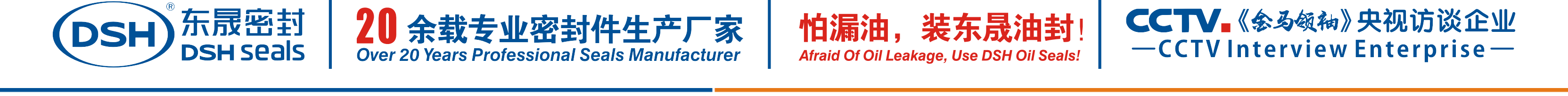 怕漏油，裝東晟油封！