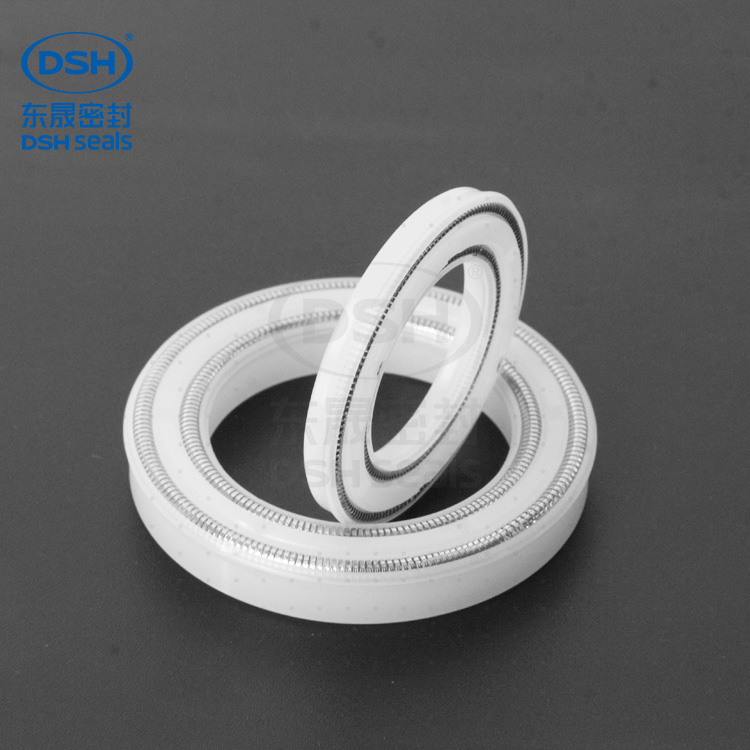 雙層彈簧泛塞封密封件800