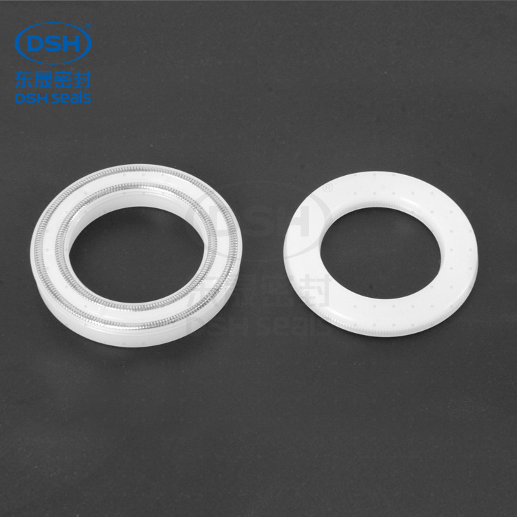 雙層彈簧泛塞封密封件800