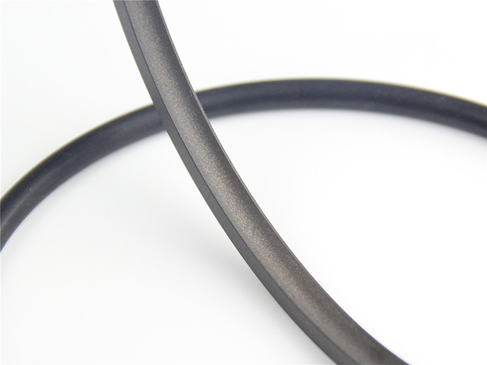 旋轉(zhuǎn)與往復(fù)運(yùn)動(dòng)密封件4