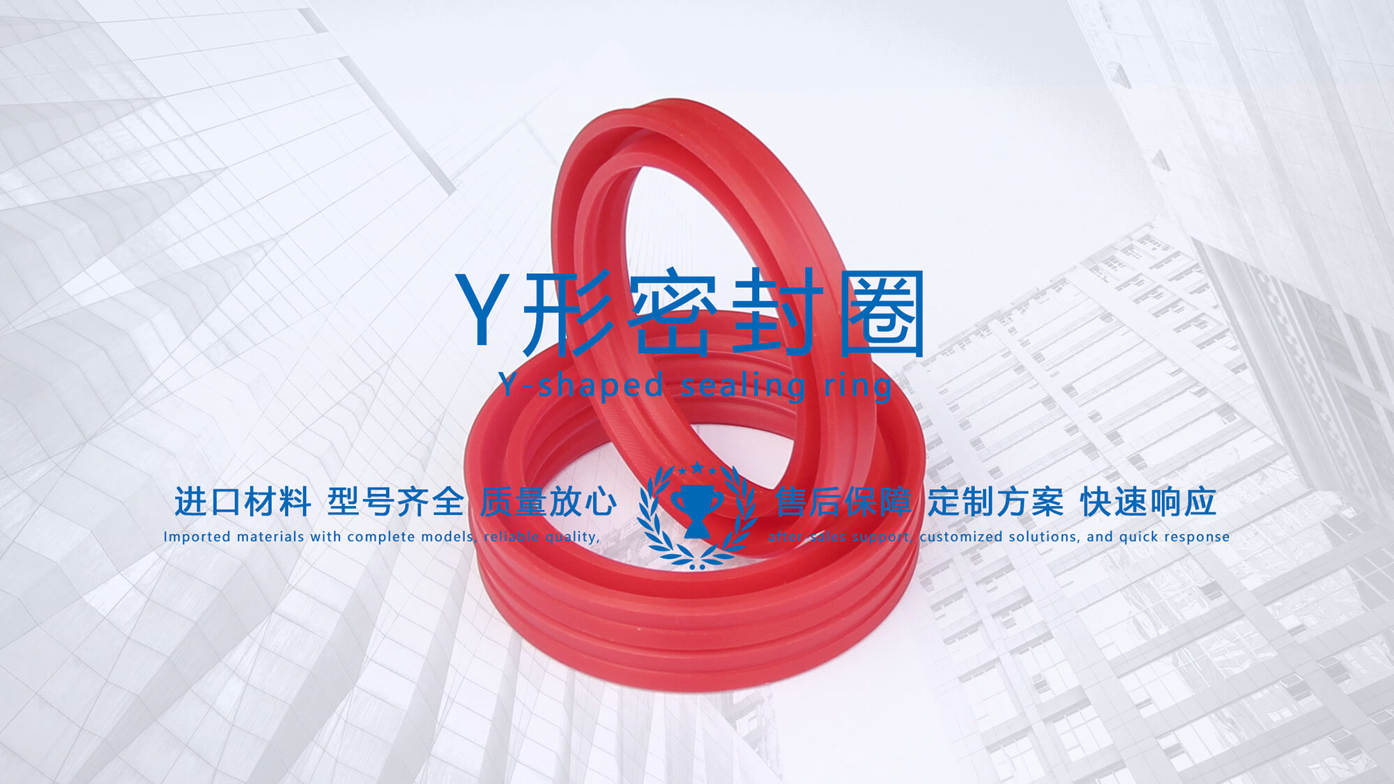 y型密封圈（又Y形密封圈，Y形圈，Y型圖或唇形密封圈，密封件油封膜片） (2)