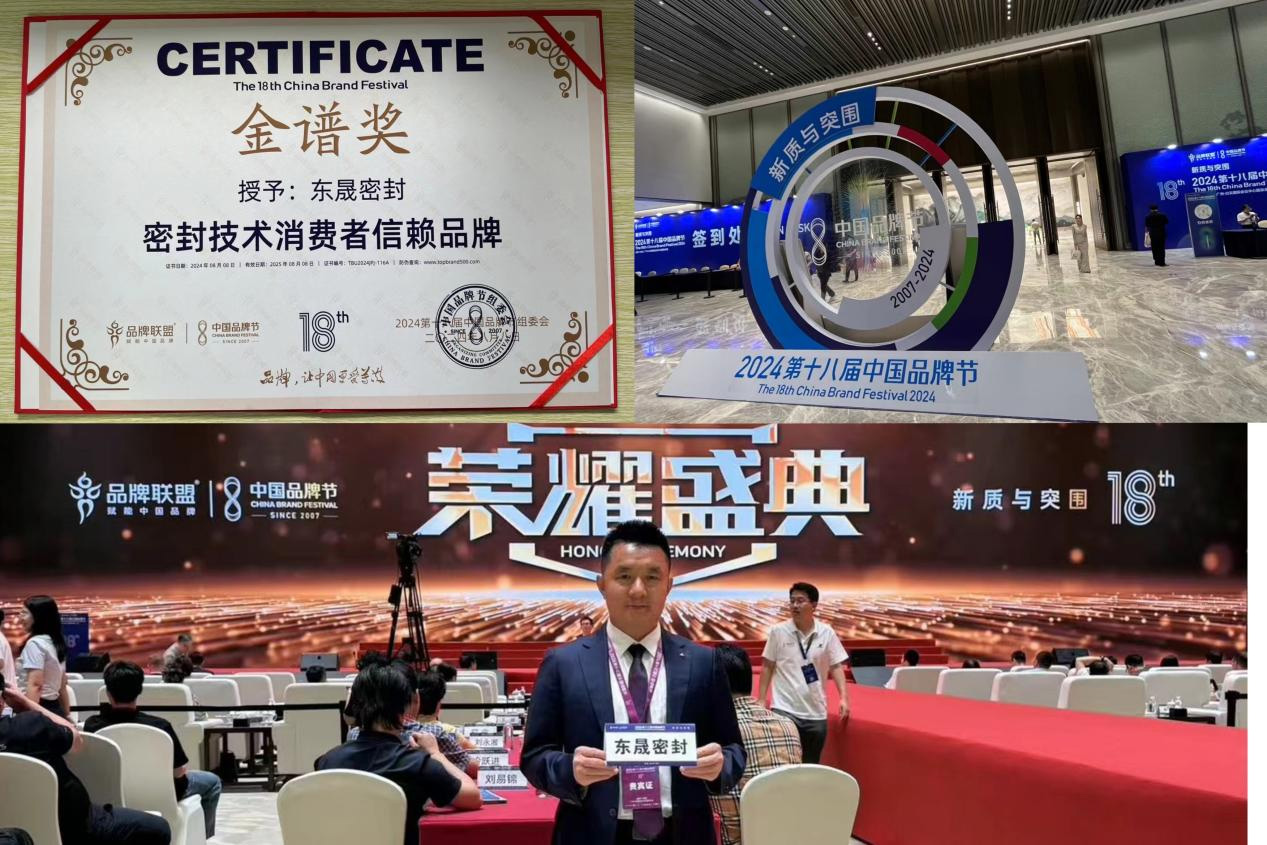 3東晟密封件閃耀2024第十八屆中國(guó)品牌節(jié)，榮獲密封技術(shù)“金譜獎(jiǎng)”