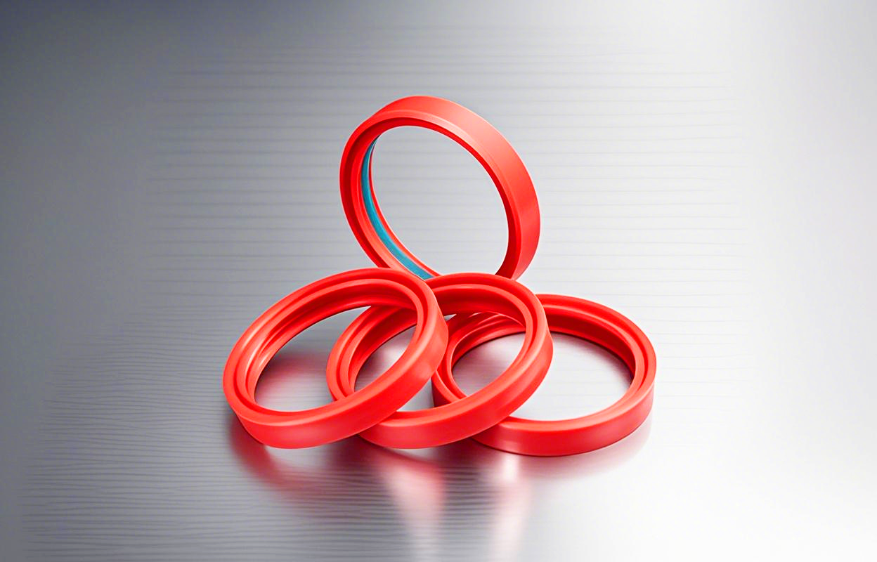 1異型同軸四氟密封件DTDI1