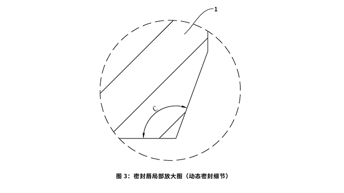 一種油封及其加工治具：圖 3：密封唇局部放大圖（動態(tài)密封細節(jié)）