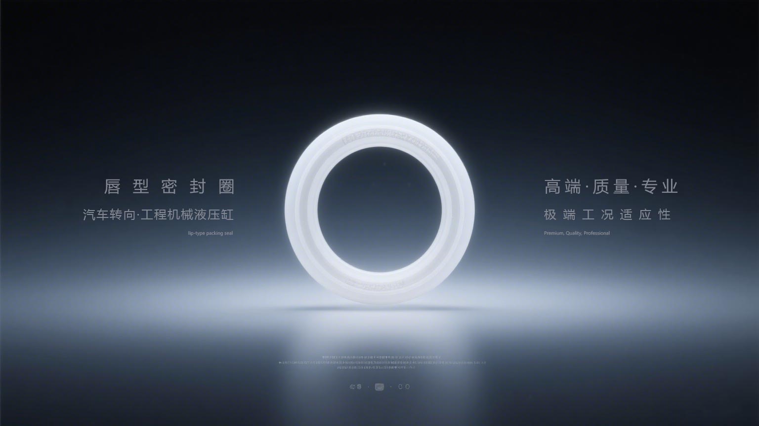 唇型密封圈3