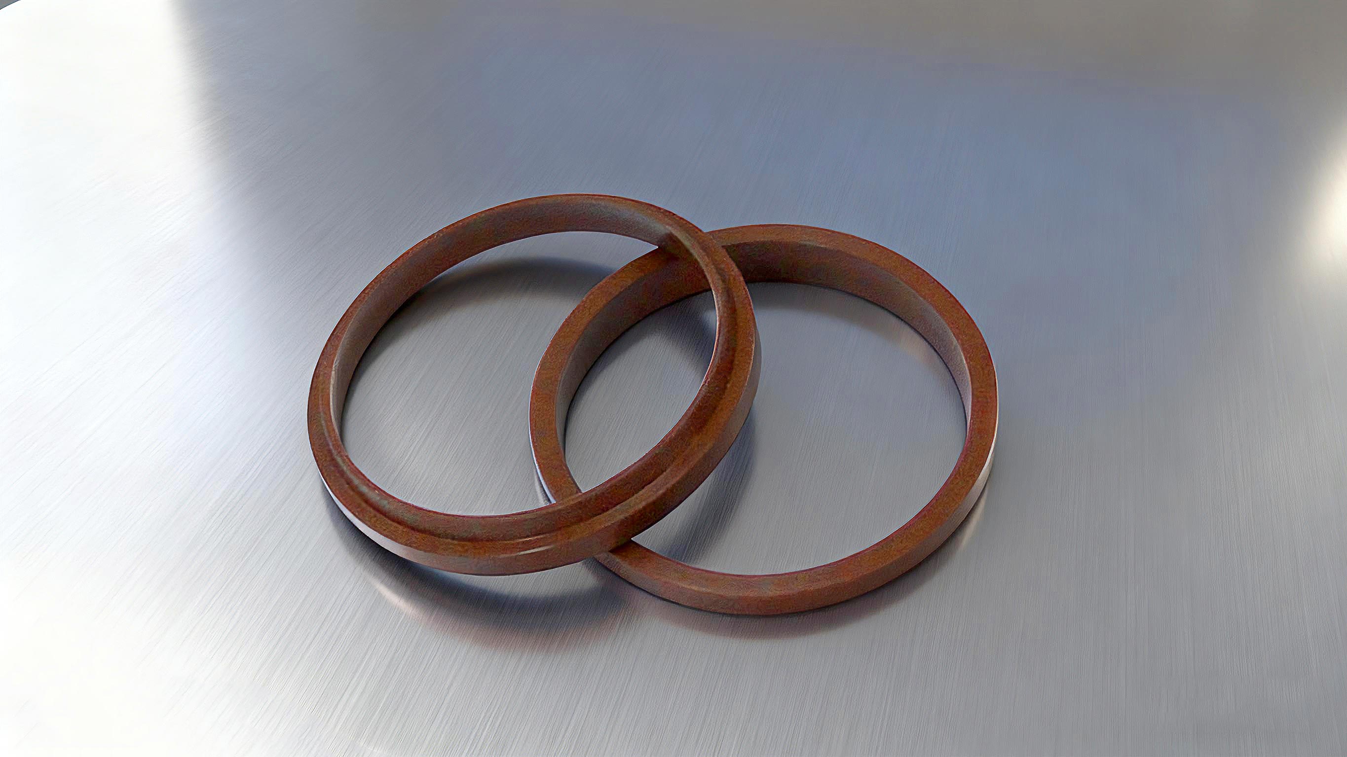 氟橡膠防塵圈 (2)