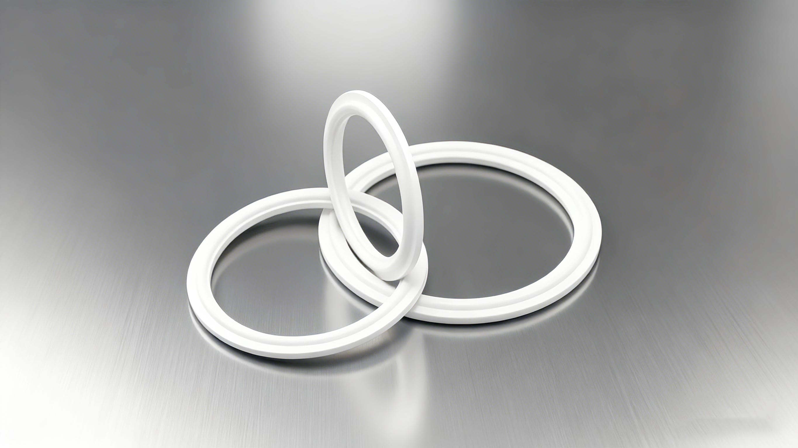 食品級(jí)密封墊圈2000 (2)