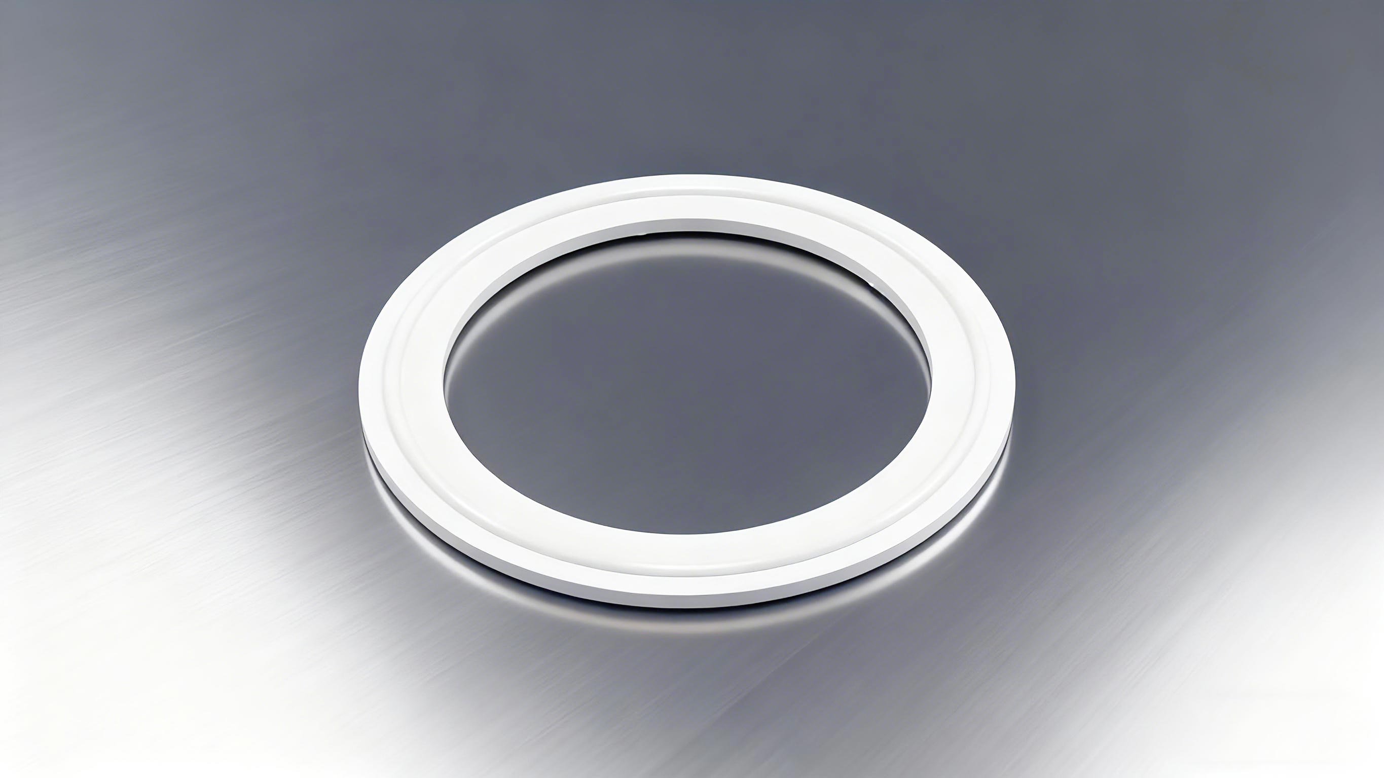 食品級(jí)密封墊圈2000 (2)