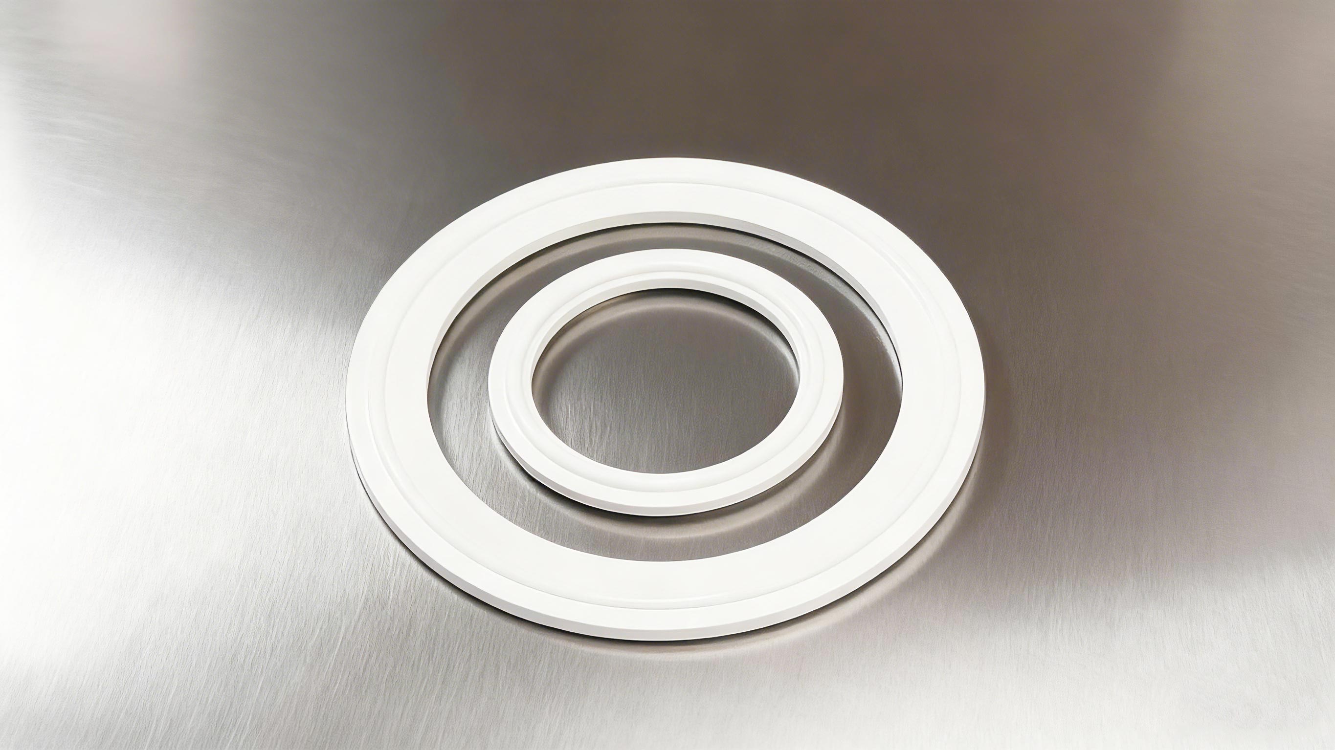 食品級(jí)密封墊圈2000 (2)