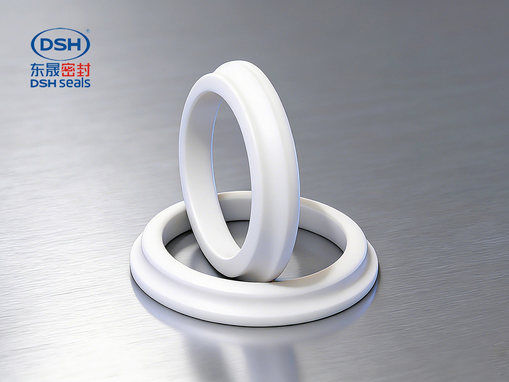 防塵圈DSZ - 定制防塵圈是除去往復(fù)運(yùn)動活塞桿露在缸外部表面上所附著的塵土、灰砂、雨水及冰霜等污物……