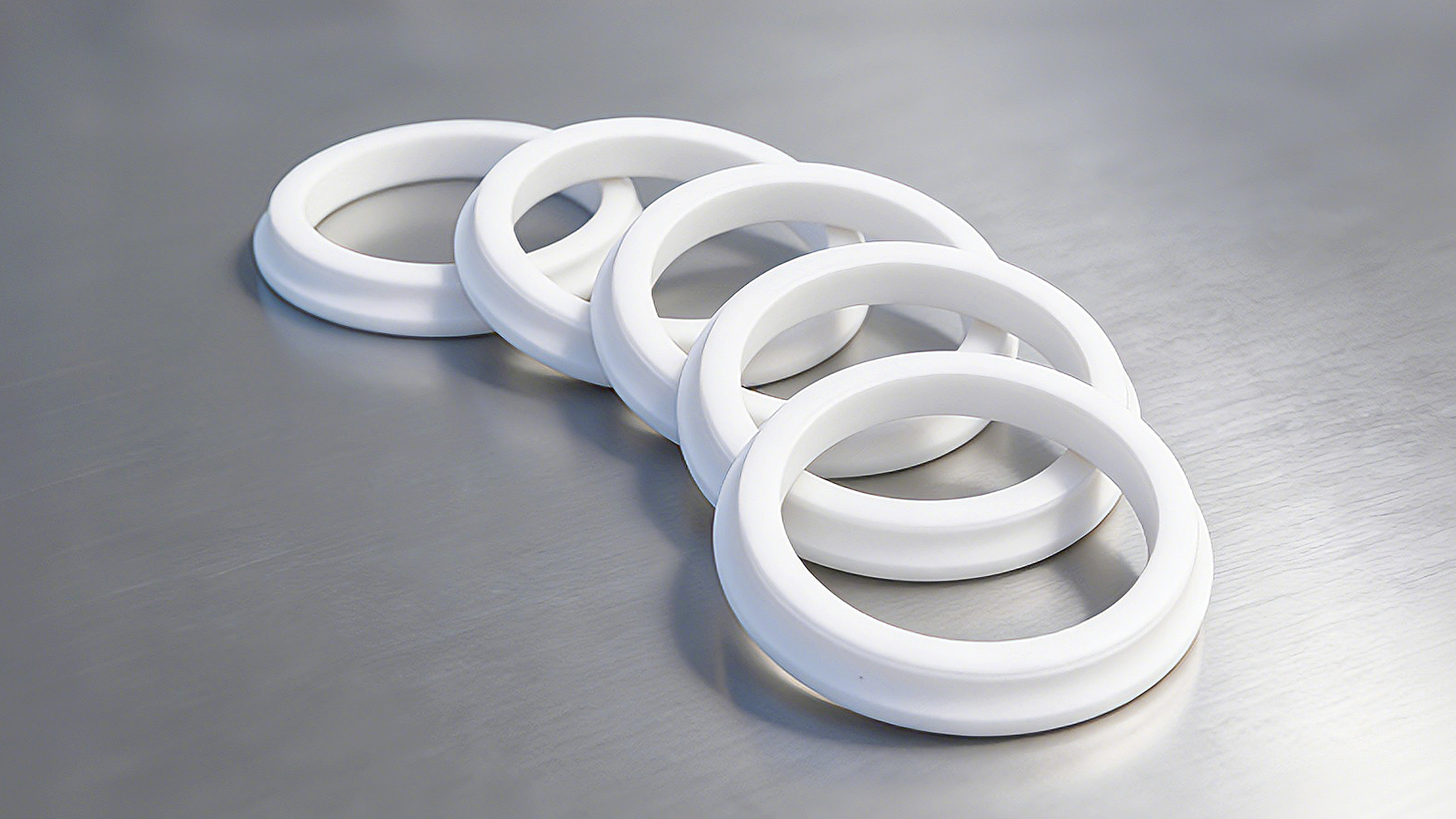 防塵圈DSZ-2000 (2)