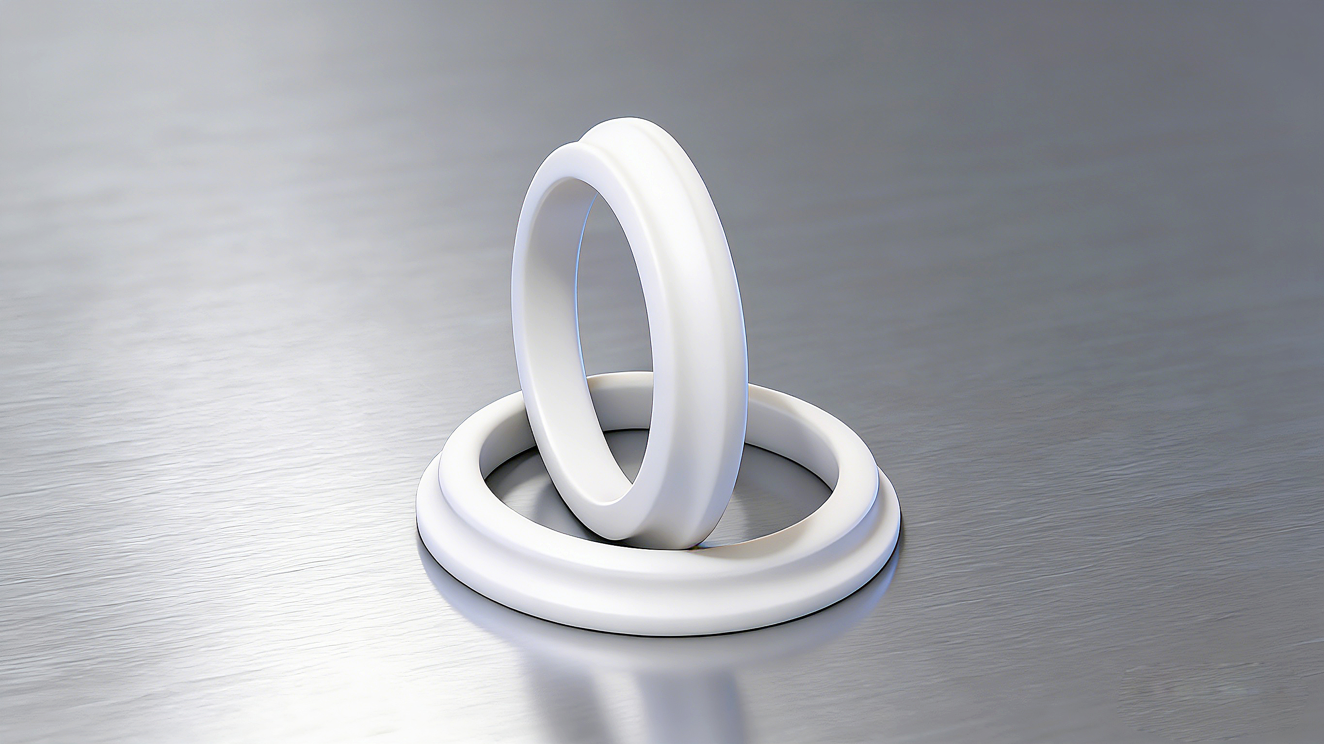 防塵圈DSZ-2000 (2)