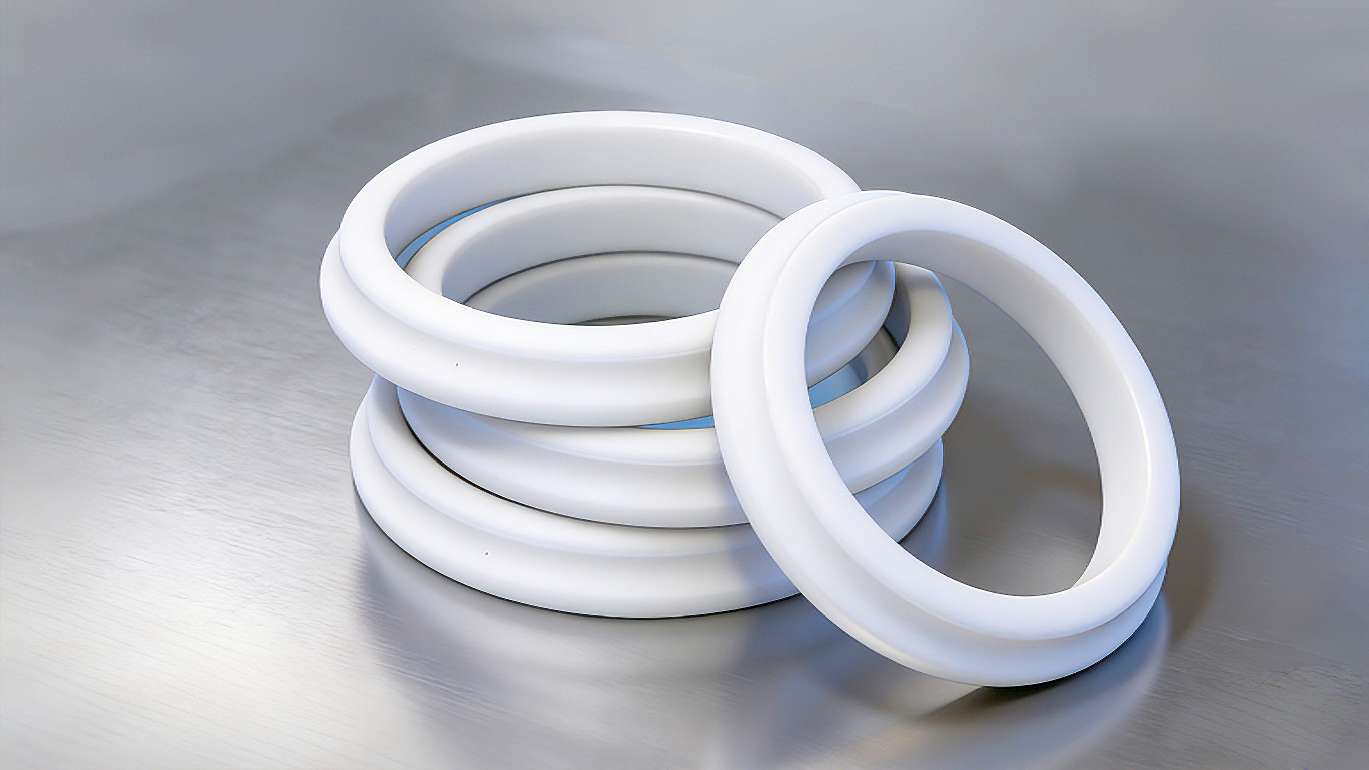 防塵圈DSZ-2000 (2)