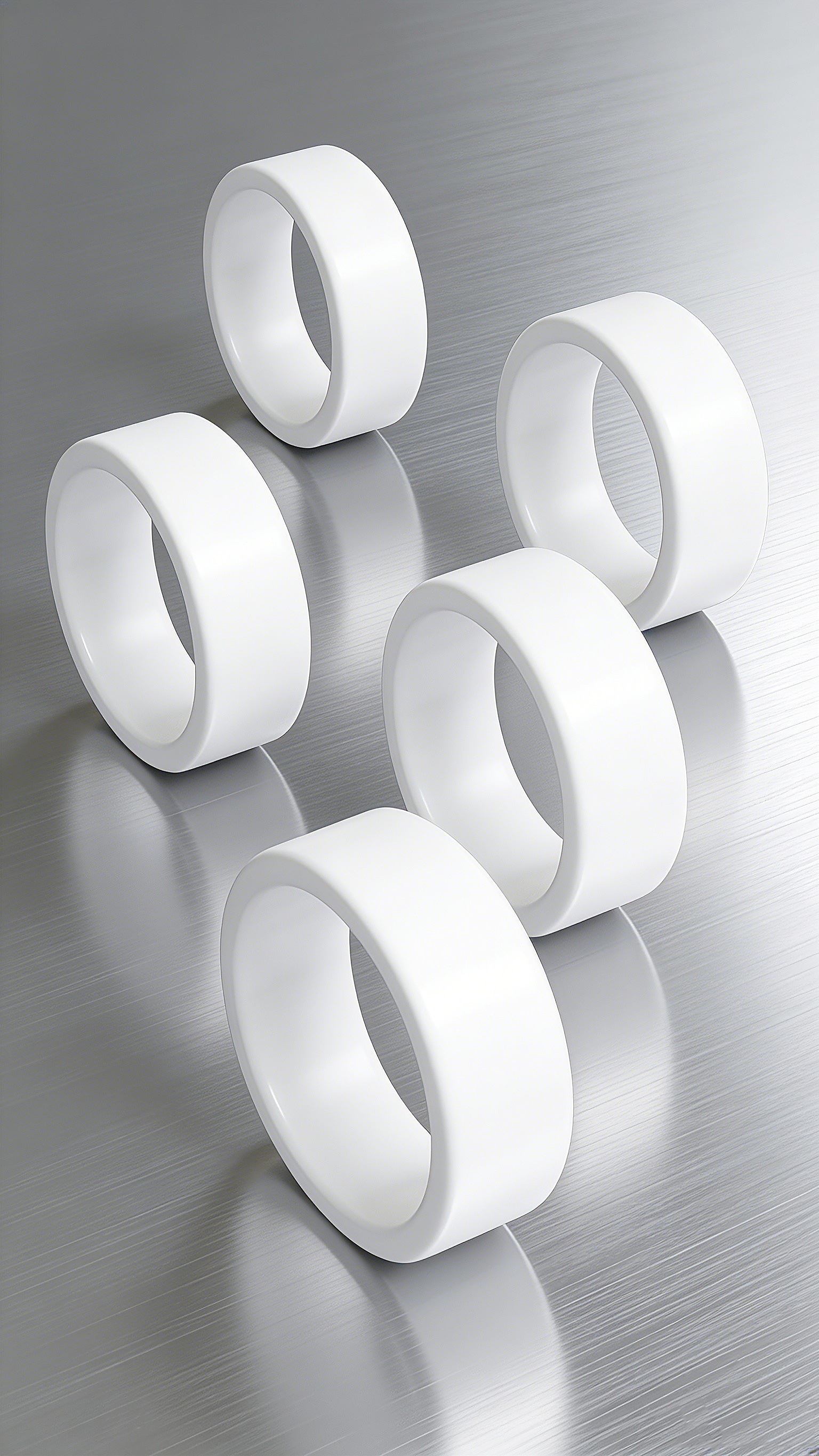 食品機(jī)械液壓導(dǎo)向環(huán)DST