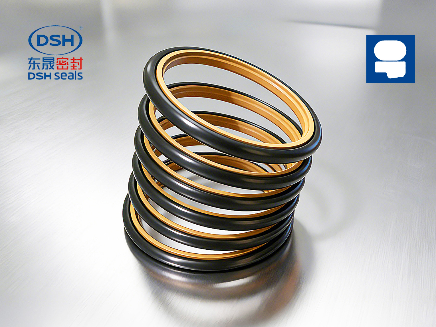 階梯組合密封件DSW-450