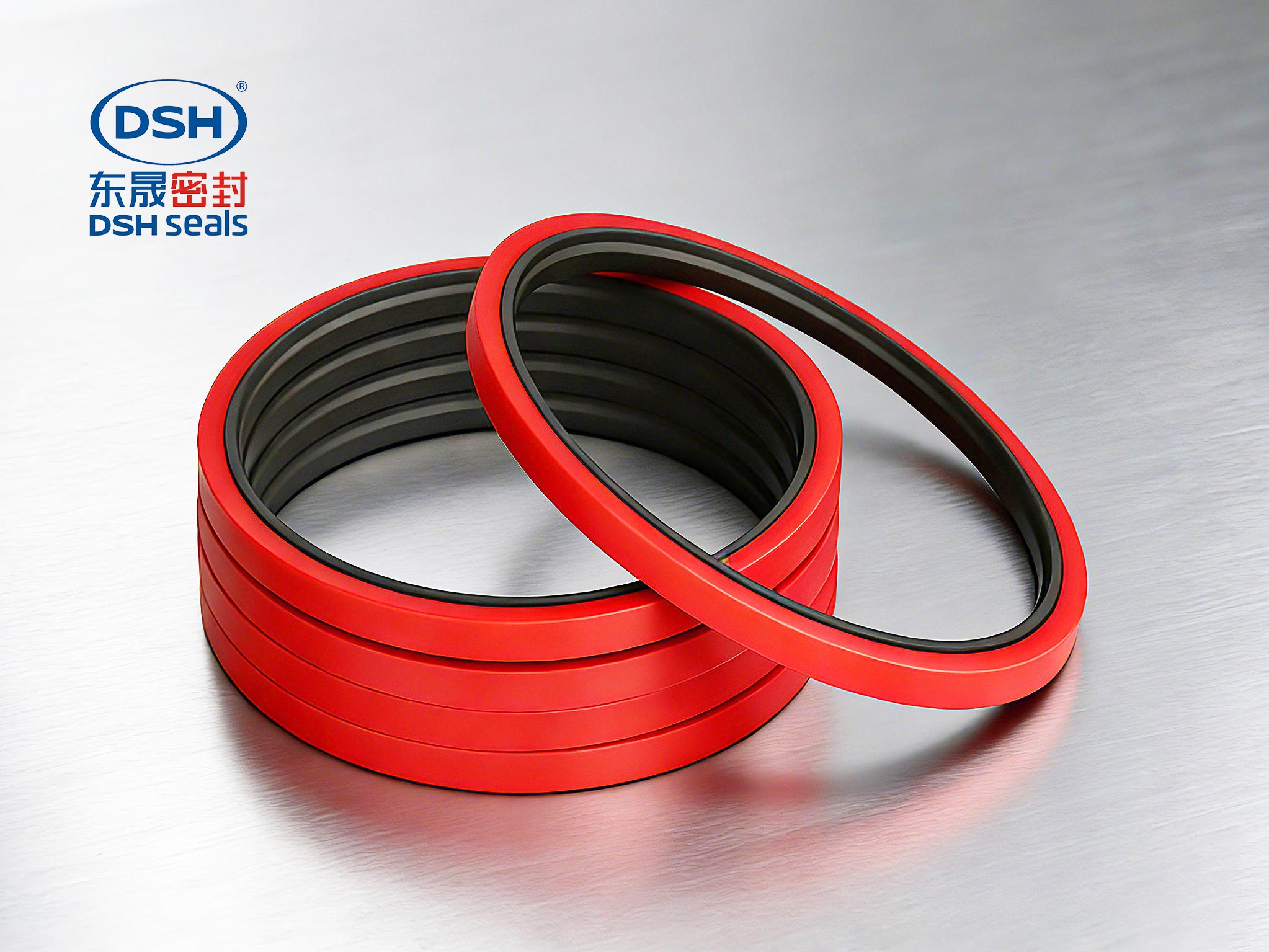 重載階梯組合密封件DMSS - 東晟密封件 重載階梯組合密封件DMSS - 東晟密封件